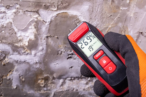 Best Home Mold Removal  in Sauk Vlage, IL